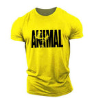 Yellow / M
