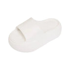 Cream rice-light plate regular version / 35-36