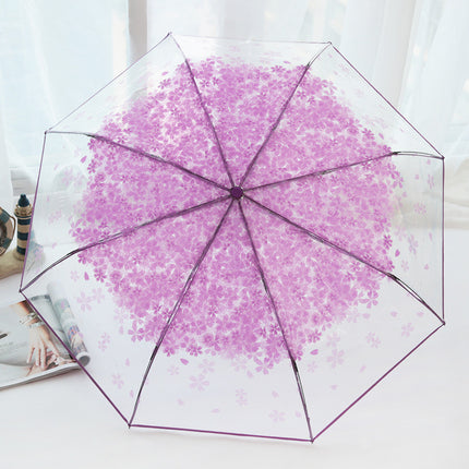 Fully Automatic Folding Plastic Transparent Cherry Blossom Umbrella for Women, Long Handle Apollo Style, Fresh and Simple, for Children, Students, Performances, Wholesale