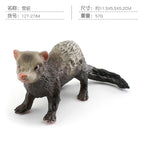 PL127-2784 ferrets 57g