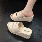 Apricot / 36-37