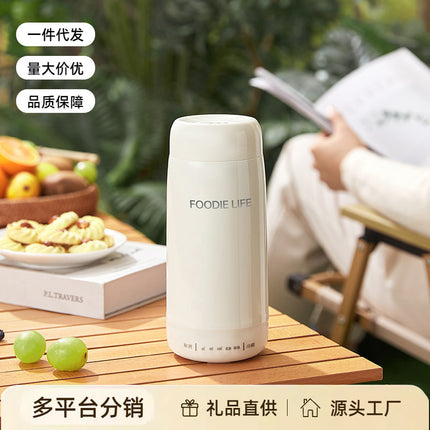 Travel Kettle Electric Heating Cup Small Portable Heating Stainless Steel Thermostatic Cup Health Kettle Tea Thermos Cup
