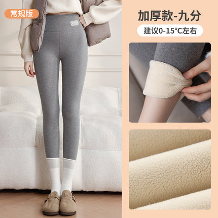 Fleece-Lined Leggings for Women, Autumn and Winter Style, Fleece Pants, Thermal Pants, 2025 New Winter Thickened Lamb Fleece Warm Cotton Pants