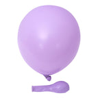 10 inch 2.2g Macaroon purple 100