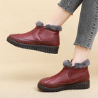 Red (collection + plus shopping cart = priority delivery) / 35