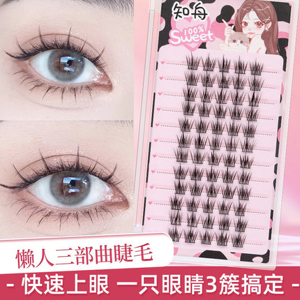 Eyelash Family Lazy Trilogy Series Cat Ear Sun Flower False Eyelash Single Cluster Mixed Style One-stop Purchase