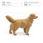 PL127-645 Golden Retriever 53g