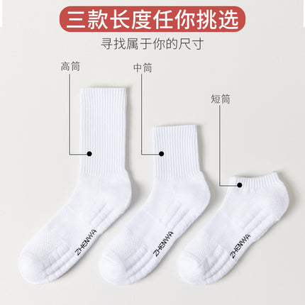 Mid-Calf Socks Ins Casual Versatile Pure Color Socks Men's Non-Slip Antibacterial Sports Socks High Elastic Non-Stretching Towel Socks