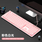 Pink-white light (silent waterproof raise bracket)