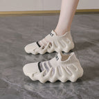 450- 23m colors / 35