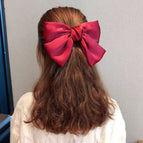 Burgundy spring clip