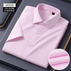 Short sleeve lxdp2033d / 38