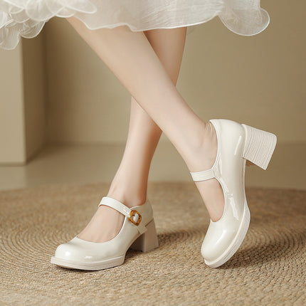 Thick-Heeled Shallow Leather Shoes, Small High-Heeled Shoes, Mary Jane Shoes for Women, Spring & Fall Skirts, Single Shoes, Ladylike Leather Shoes