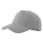 Light gray / Adjustable