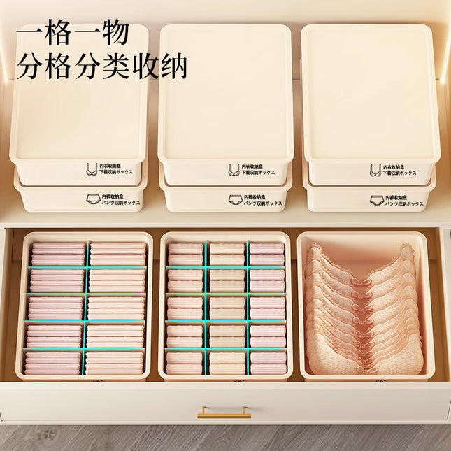 FX 3023 Plastic Storage Box Home Bra Underwear Socks Box Drawer Type Clothes Organizer Storage Underwear Box
