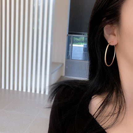 European and American Ins Large Circle Elegant Trendy Girls Frosted Earrings S925 Silver Needle Earrings Personalized Popular Hoop Earrings