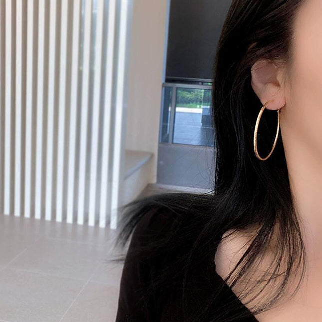 European and American Ins Large Circle Elegant Trendy Girls Frosted Earrings S925 Silver Needle Earrings Personalized Popular Hoop Earrings