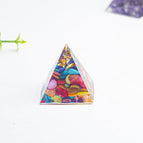 3cm / Colorful shellfish