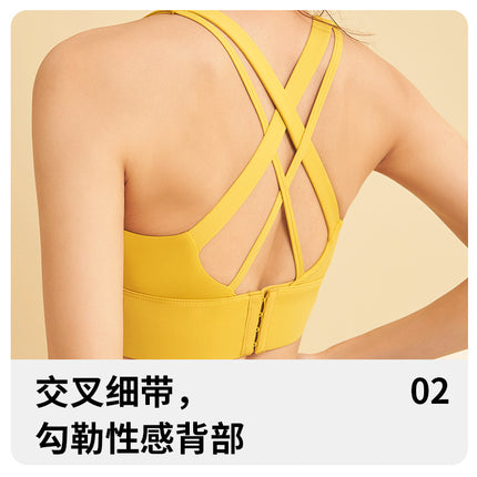 High-Elasticity, High-Strength Shock-Proof Sports Bra for Women with Removable Chest Pads and Hook-And-Eye Closure for Yoga and Fitness Jyt