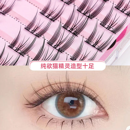 Eyelash Family Lazy Trilogy Series Cat Ear Sun Flower False Eyelash Single Cluster Mixed Style One-stop Purchase
