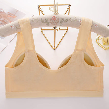 Cross-Border Large Size Fixed Cup Front Buckle Mother's Underwear Middle-Aged and Elderly Large Size No Rims Comfortable Back Push-Up Bra