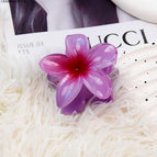 Purple red [about 8cm] / Standard