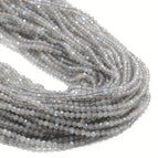 2mm section / Gray flash