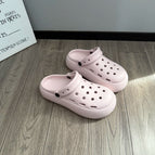 Pink-light board regular version / 36-37