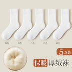 Velvet and thickening [5 pairs] 5 white