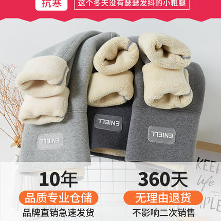 Fleece-Lined Leggings for Women, Autumn and Winter Style, Fleece Pants, Thermal Pants, 2025 New Winter Thickened Lamb Fleece Warm Cotton Pants