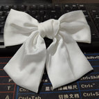 White spring clip
