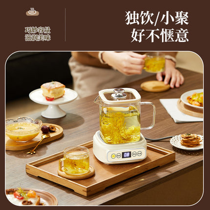 Health Pot Multi-functional New Household Glass Kettle Small Office Tea Maker Dormitory Flower Tea Pot Gift