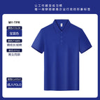 [adult] royal blue / S