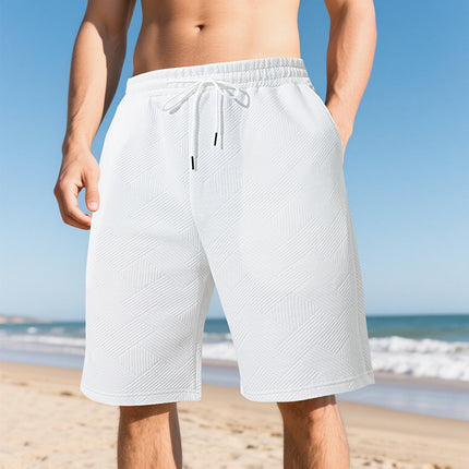 25 Cross-Border New Products Hot-Selling European and American Men's Summer Loose Heavyweight Simple Jacquard Texture Branch Line Trendyy Shorts