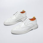 Sd-85001 matte white / 38