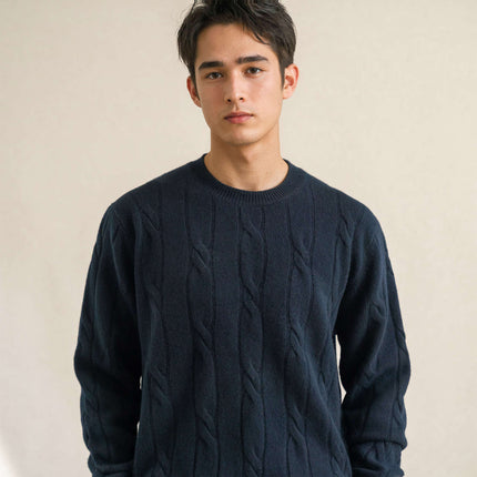 100% Wool Autumn and Winter Round Neck Twisted Yarn Men's Wool Knitted Sweater