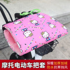 Medium thickness random color [fleece-lined]] / Free size [unisex]]