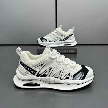 Men's Shoes Autumn Breathable Thin Mesh Shoes All-match Fashionable Casual sneaker Deodorant Running Dad Shoes Fashionable Shoes