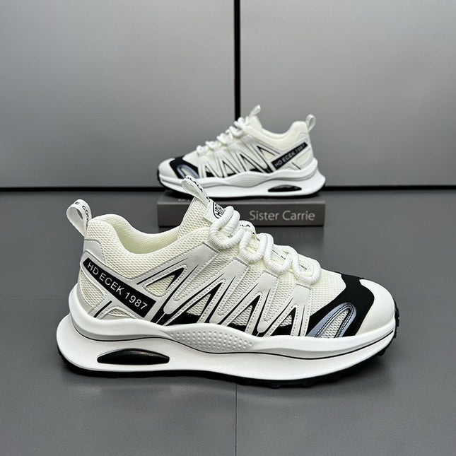 Men's Shoes Autumn Breathable Thin Mesh Shoes All-match Fashionable Casual sneaker Deodorant Running Dad Shoes Fashionable Shoes