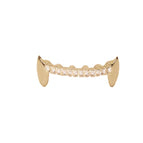 Golden tiger tooth small tiger tooth zircon / One size fits all