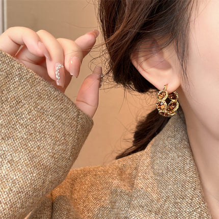 Brown Crystal Hoop Earrings, Feminine Accessible Luxury Earrings, 2025 New Internet Celebrity Hot Style High-End Earrings for Women