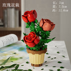 Rose potted 204pcs 