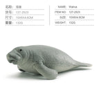 Pl127-2523 sea elephant 132g
