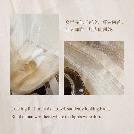 Window Screens, Golden Gauze, French-Style Light Luxury Curtains, Dreamy and High-End Feel, 2026 New Model for Living Room, Light-Transmitting but Not See-Through