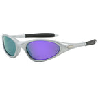 Silver frame revo purple
