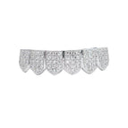 Silver lower teeth