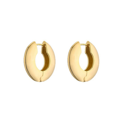 2025 New Minimalist Style Hoop Earrings, Cool and Trendy Ins Style, Unique and High-End, Versatile and Elegant Earrings