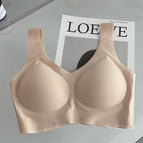 888v collar skin color / M 40-57.5kg [70a-80c]