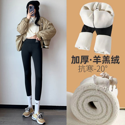 Source Shark Pants Women's Velvet Outerwear Summer High Waist Slim Fit Slimming Thickened Leggings Fitness Yoga Delivery