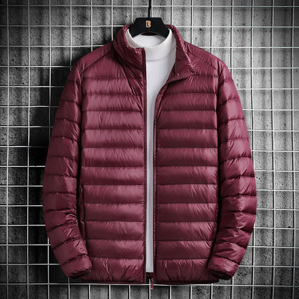 Printable light cotton-padded jacket men's youth short stand collar cotton-padded jacket foreign trade plus size men's cotton-padded jacket men's wholesale